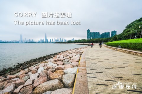 爱奇艺vip7天试用「2021爱奇艺vip7天试用」-图1