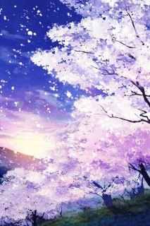 樱花卡「樱花卡通」-图1
