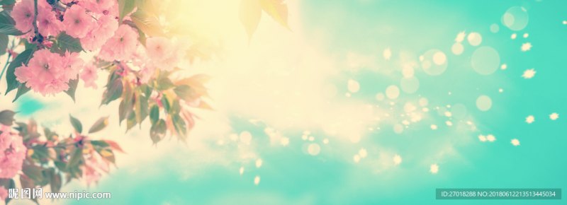 樱花卡「樱花卡通」-图2