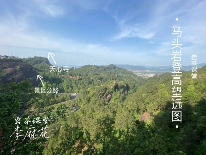86开头的电话是哪里的「86开头的电话是哪里的怎么打」-图1