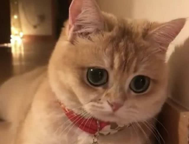 weblogic关闭控制台_weblogic关闭iiop_weblogic10如何关闭控制台