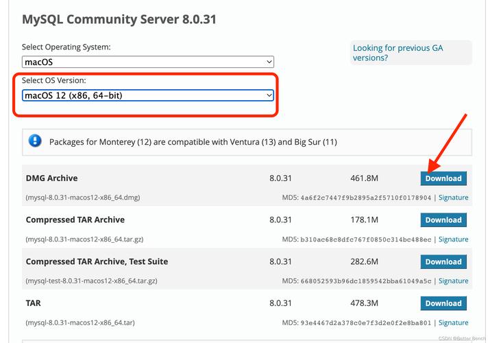 在Mac上如何定位MySQL数据库文件的具体路径？