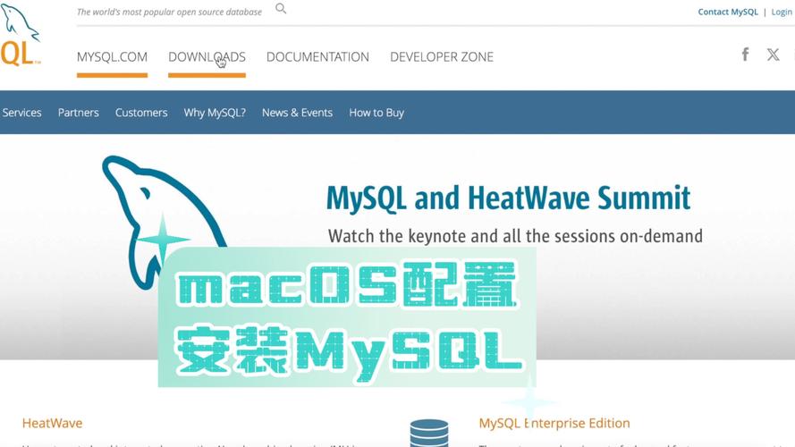 在Mac上使用MySQL数据库的最佳工具有哪些？