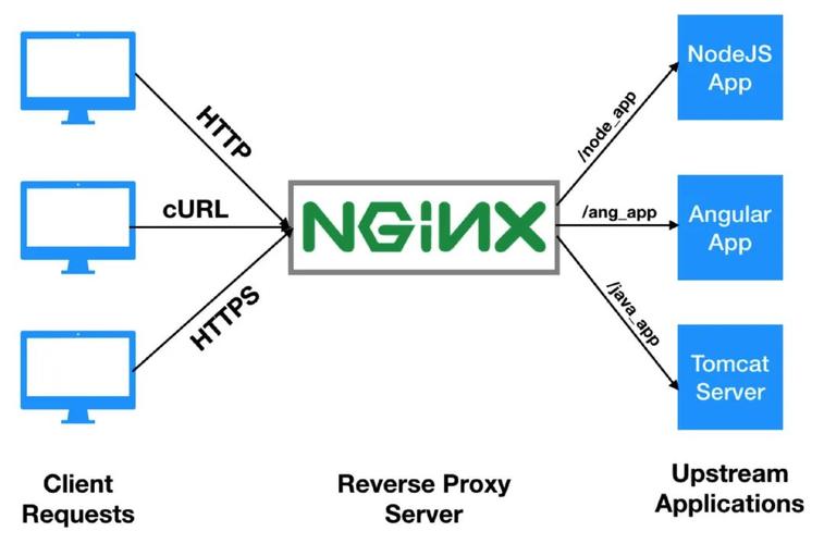 Nginx究竟是一款怎样的软件？