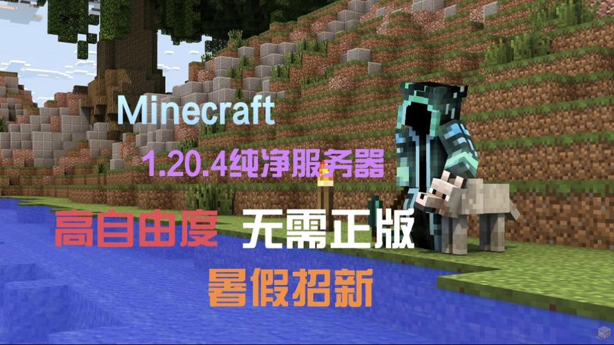 如何有效实现MC服务器端与客户端的自定义策略配置？