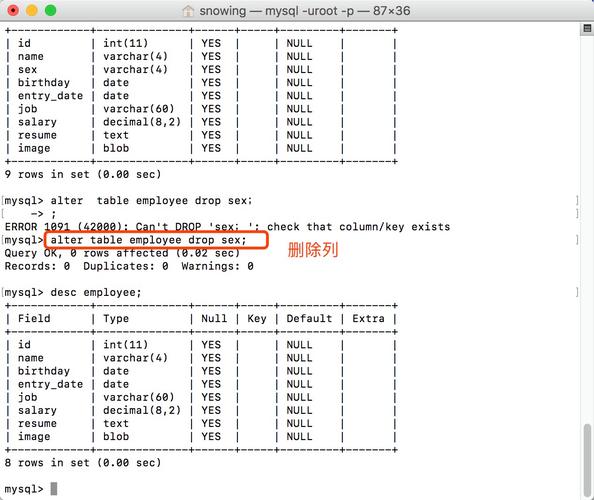 如何在MySQL中获取特定账号的数据库表名和账号ID？