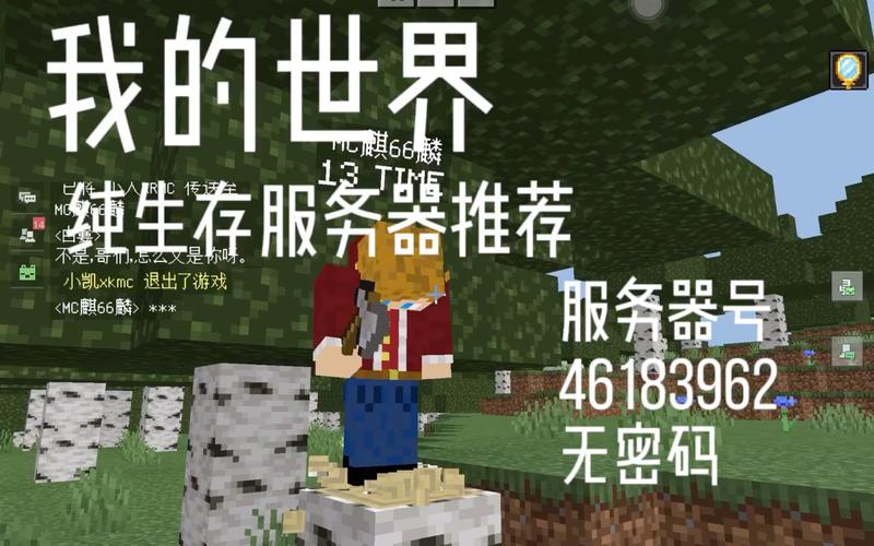 探索我的世界钢丝服务器，它是如何增强游戏体验的？