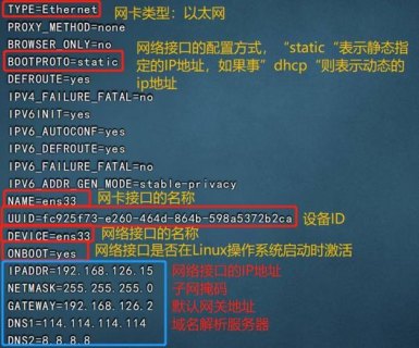 linux网卡作用 linux笔记本网卡-图1