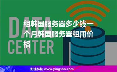 韩国服务器租用为何这么火热呢？