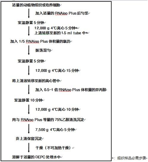 如何有效实施内容提取及其方法？