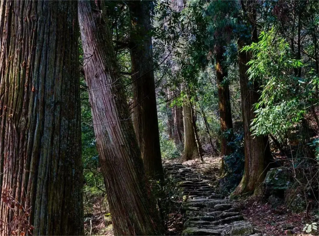 大兴区身份证_北京市大兴区身份证开头_大兴区的身份证