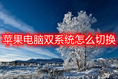 windows10linux双系统_系统性红斑狼疮_系统窗和断桥铝窗区别图片