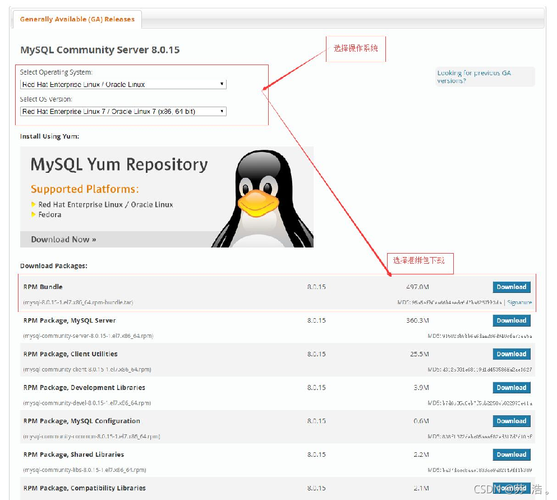 centos ssh mysql数据库_CentOS