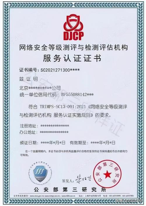南京等保测评中，哪家专业机构负责执行这一服务？