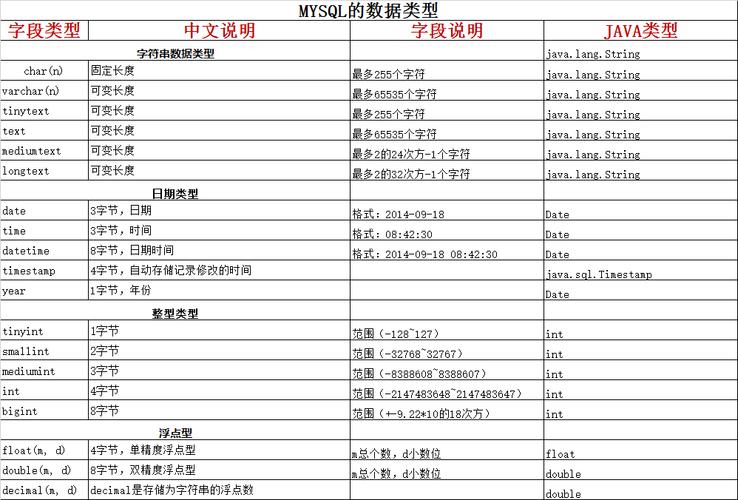 在MySQL中，如何选择合适的字段类型来优化数据存储和查询性能？