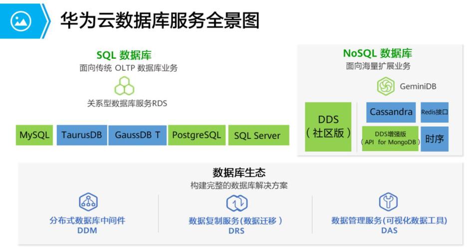 如何选择最适合我的需求的云数据库服务，GeminiDB 对比其他选项？