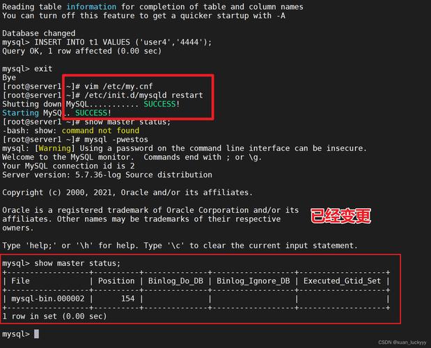 为什么MySQL数据库初始化后没有任何响应？