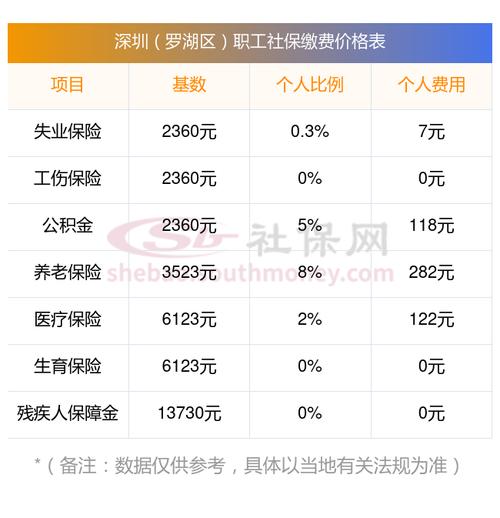 个人购买保险需要支付多少费用？