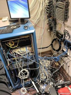 蟑螂跑进笔记本_蟑螂跑进笔记本电脑-图2