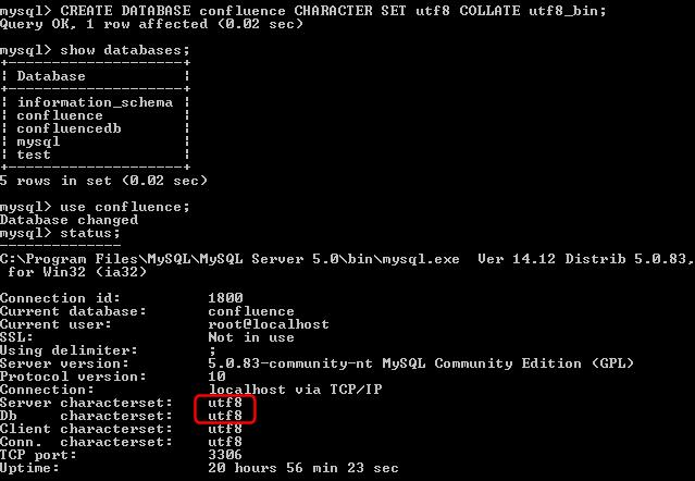 如何在MySQL数据库中正确配置UTF8字符集？