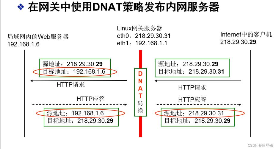 如何有效查看NAT网关中的DNAT规则？