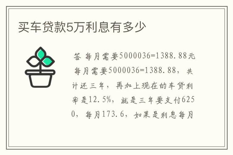 两年内5万车贷的利息总额是多少？