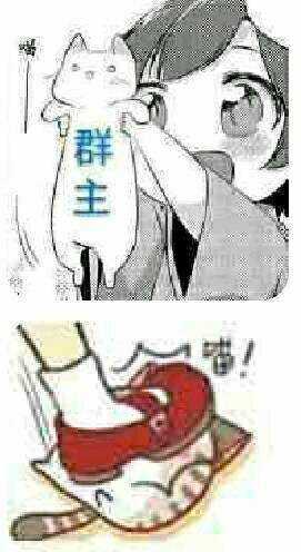 群主应该是什么样
