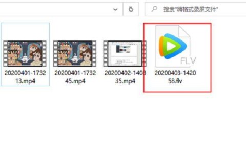 笔记本flv格式视频,视频格式flv怎么打开 -图2