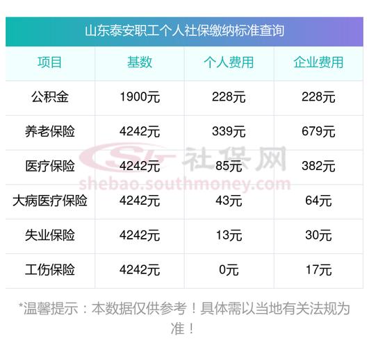 一年之内，五类保险的总费用是多少？