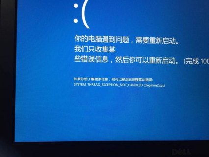 笔记本盖上盖子之后开机蓝屏-dell笔记本盖起就蓝屏-图1