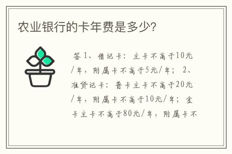 申请农业银行信用卡需要支付多少费用？