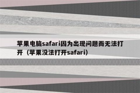 苹果笔记本safari好慢_为什么苹果笔记本safari无法打开网页-图1