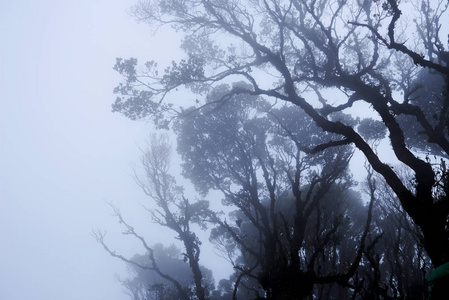 图片搜索_图片2024新图片_richtextbox图片