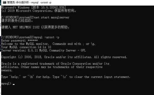 为什么MySQL数据库初始化后没有任何响应？