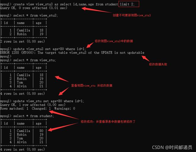 如何将MySQL中的视图导入到数据库中？