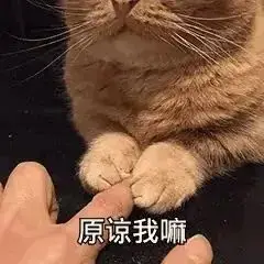 迈克菲防御套装下载_迈克菲网络安全套装_迈克菲全面安全保护套装 2024