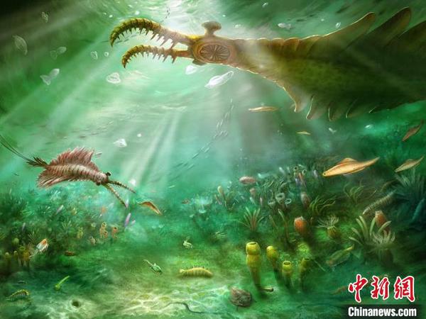ecosystem science专业排名_排名专业前列_排名专业第一