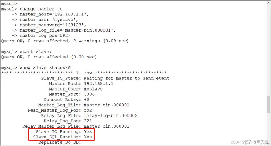 如何正确配置MySQL数据库以优化性能？