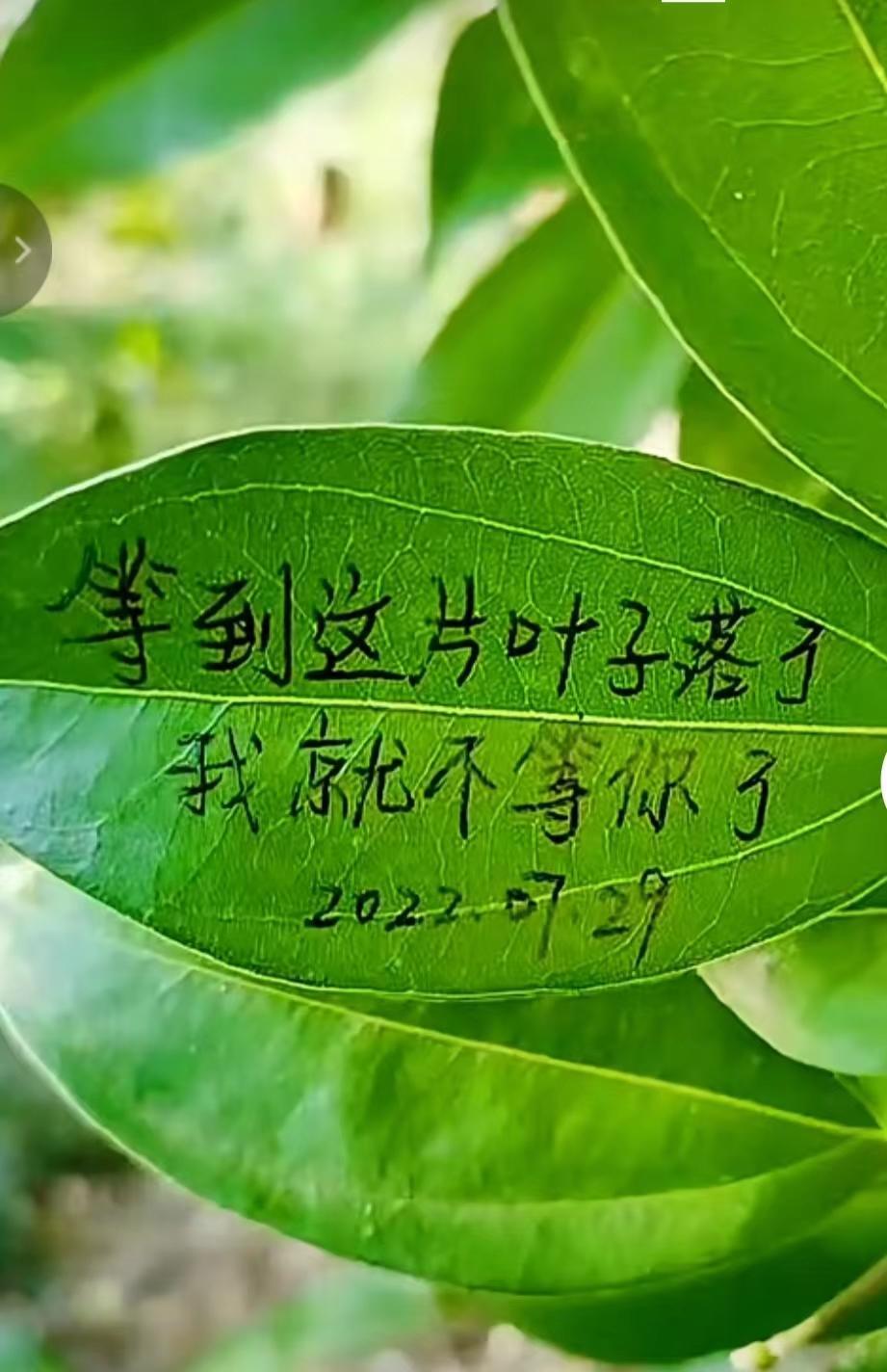 商城标志设计_商场电子标签_电子商城标志