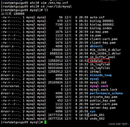 MySQL数据库中_Mysql数据库目录的作用是什么？