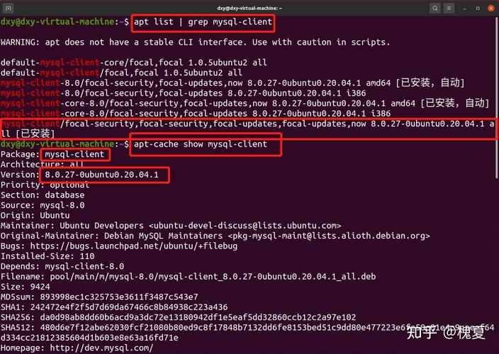 MySQL数据库配置文件的位置在哪里？