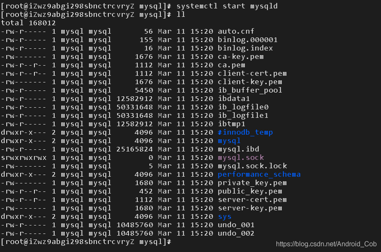 查看数据库mysql_Mysql数据库
