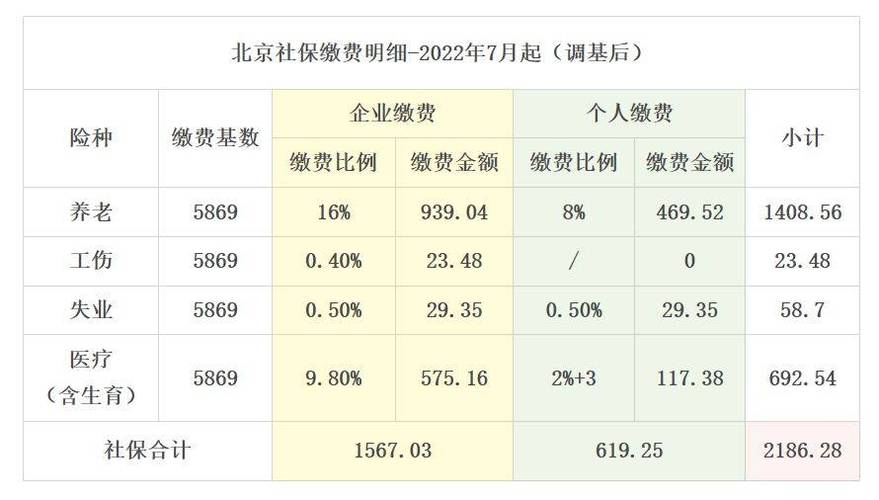 个人购买保险需要支付多少费用？