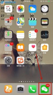 怎么查询iphone是新机「如何查看苹果手机是新机」-图2