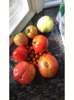 笔记本用过大番茄_笔记本用过大番茄会怎么样-图2