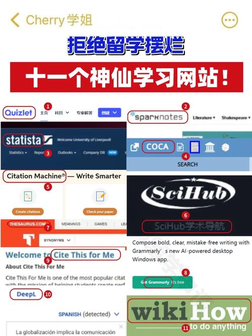 哪些在线平台提供了Flash课程学习资源？
