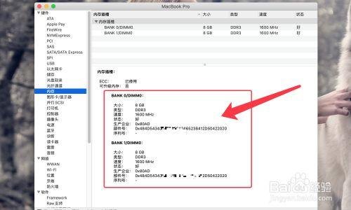 苹果笔记本查内存型号（苹果笔记本的内存怎么看）-图1