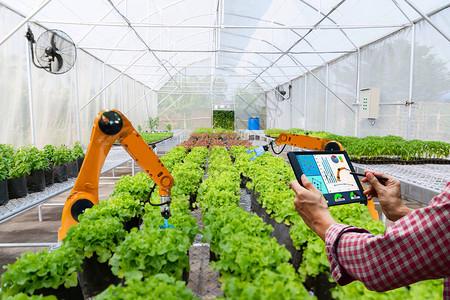 如何利用农业机器人提高作物产量和效率？