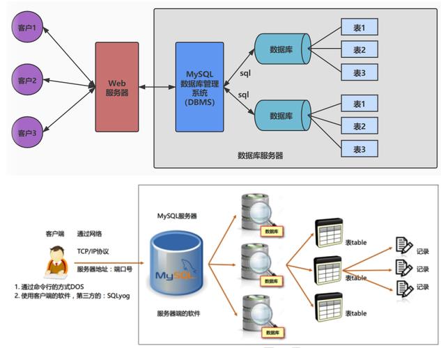 MySQL数据库对象具体包含哪些内容？