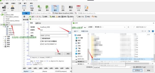 如何高效地将脚本导入MySQL数据库？
